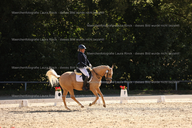 HG9A0233 | laurarinckfotografie - Realisiert mit Pictrs.com