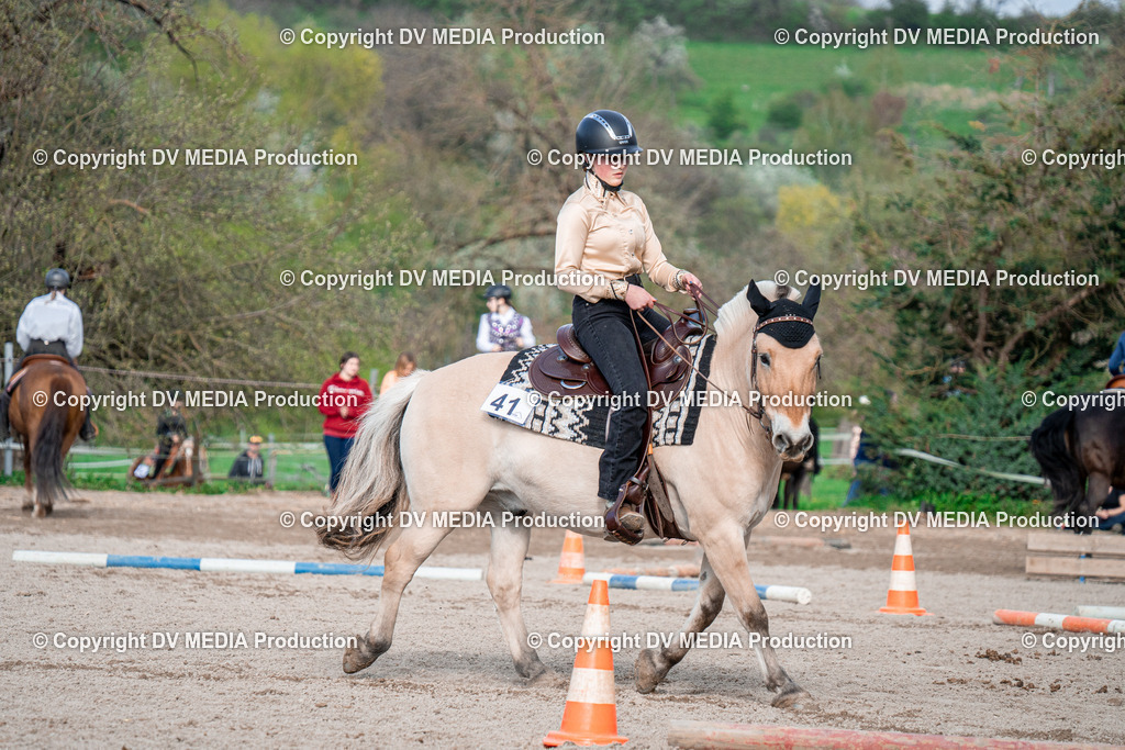 BAL02841 | dv-media-shop - Realisiert mit Pictrs.com