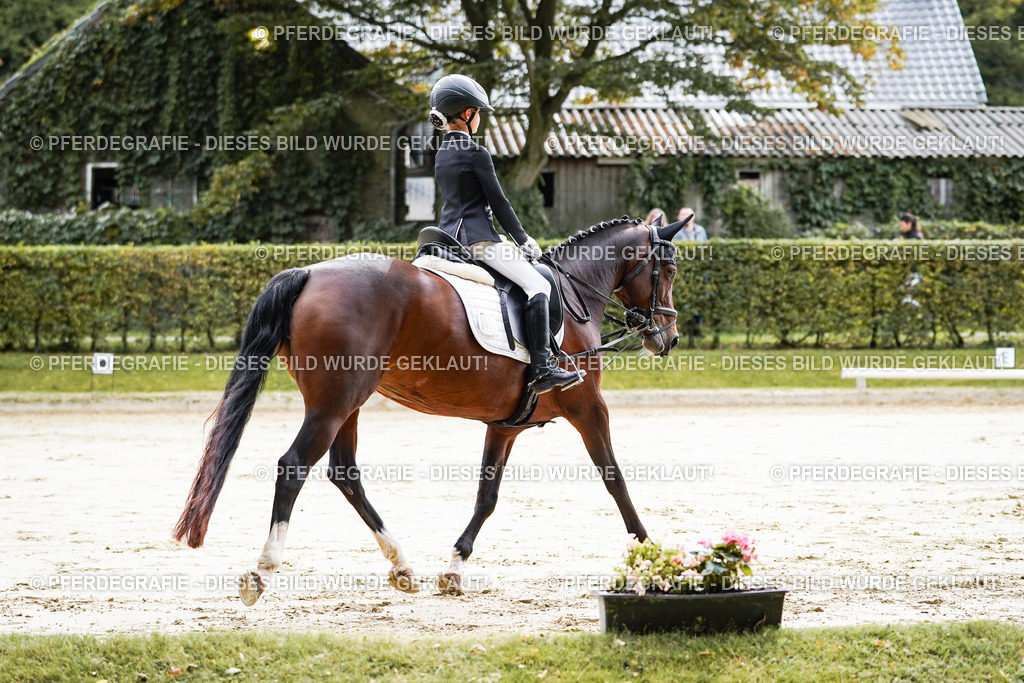 DSC05193 | Pferdegrafie