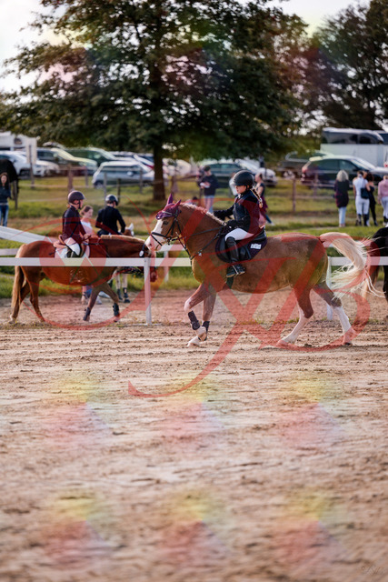 2026_10_03_Siefer-Hof_144448_Z81_19023979 | Professionelle Reitsport-, Turnier- und Eventfotografie von Robert Broda. Galerien mit ausgewählten und bearbeiteten Bildern direkt online ansehen und bestellen.