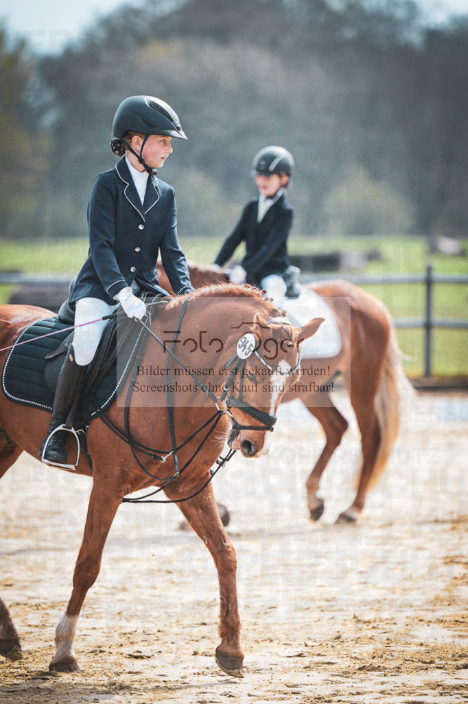 DOS_5202 | Entdecke hochwertige Reitturnierfotos von Foto Oger. Professionell, emotional und authentisch – jetzt Lieblingsmomente im Shop bestellen.Deutschlandweite Turnierfotografie. - Realisiert mit Pictrs.com