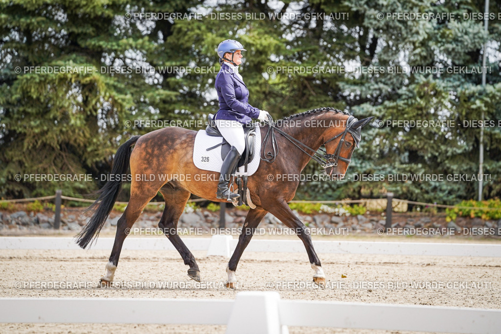 DSC02482 | Pferdegrafie