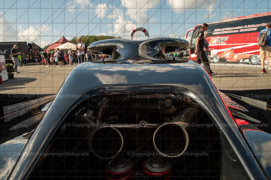 20250906111354D75_6211 | Bitte beachten!!!
Alle Fotos dieser Galerie sind nur grundbearbeitet. Im Falle eines Verkaufs, werde ich die Fotots noch mit dem nötigen Feinschliff versehen. - Realisiert mit Pictrs.com