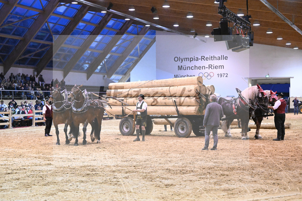 Schauprogramm_54222521 | hf-fotografie - Realisiert mit Pictrs.com