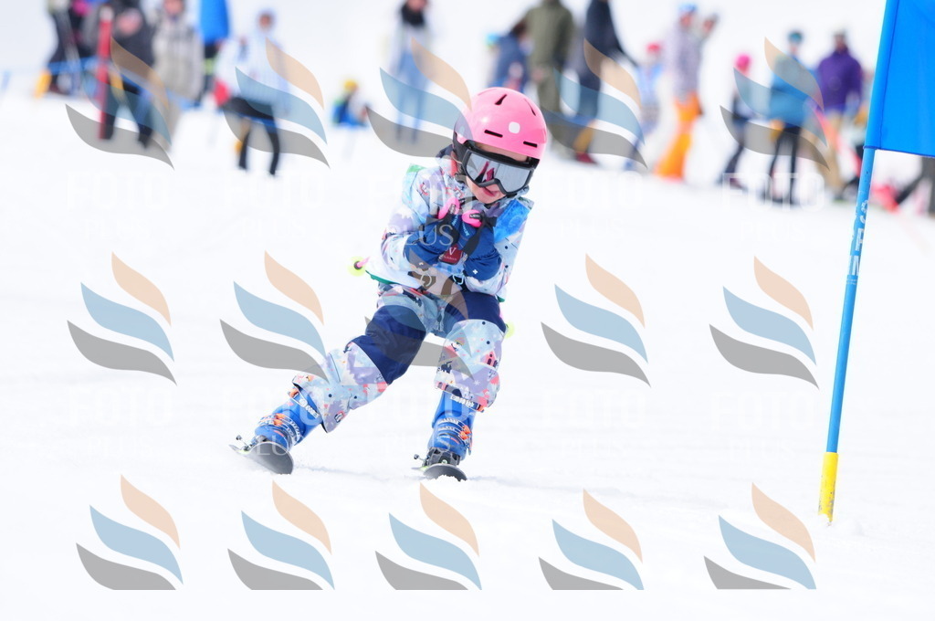 A3669 | holidayphoto