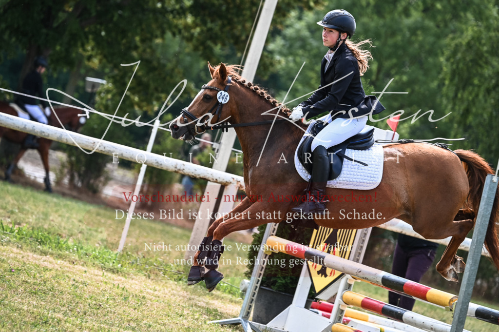 DSC_8580 | Pferde- und Turnierfotografie in Westsachsen. Pferdeportraits, Auftragszeichnungen und intuitive Kunst.