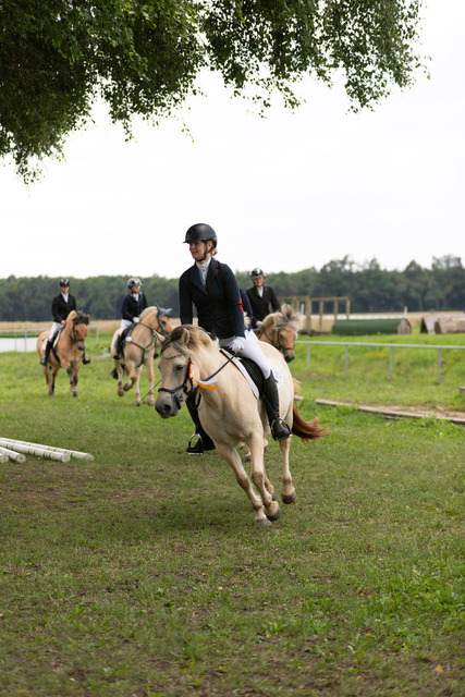 IMG_8881 | normansfotografie - Realisiert mit Pictrs.com