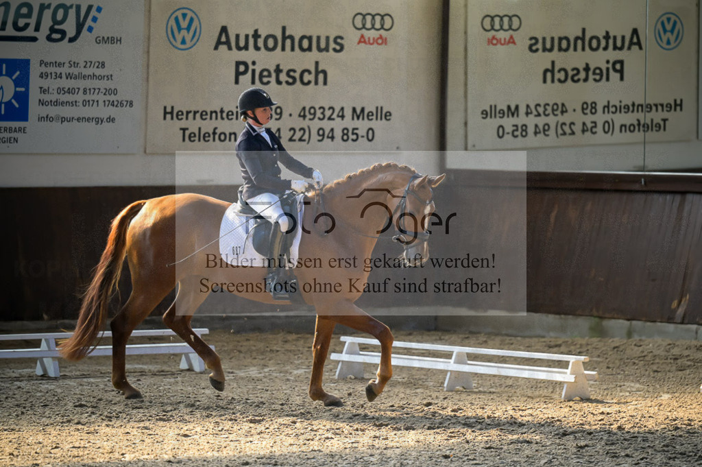 Reitturnier Voxtrup | Entdecke hochwertige Reitturnierfotos von Foto Oger. Professionell, emotional und authentisch – jetzt Lieblingsmomente im Shop bestellen.Deutschlandweite Turnierfotografie. - Realisiert mit Pictrs.com