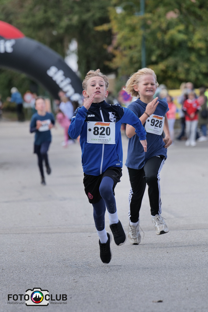D (473) | Foto Buchgraber