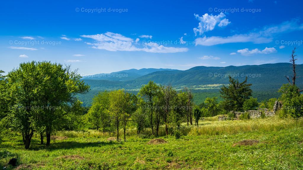 DSC00281 | d-vogue - Realisiert mit Pictrs.com