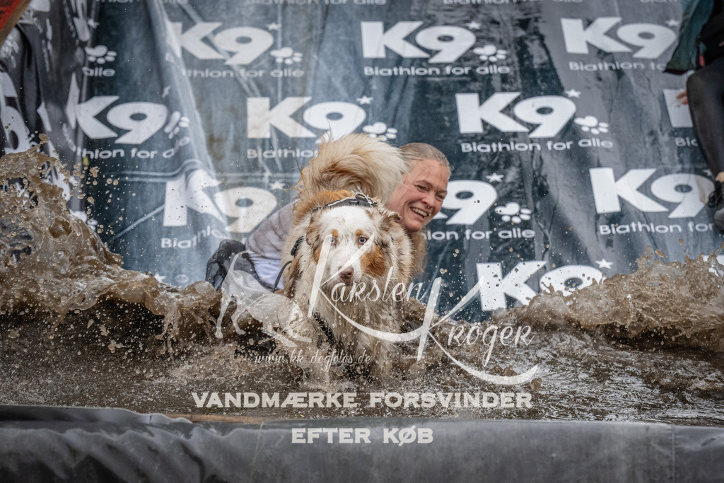 1154_ZZ93848 | kk-dogfotos