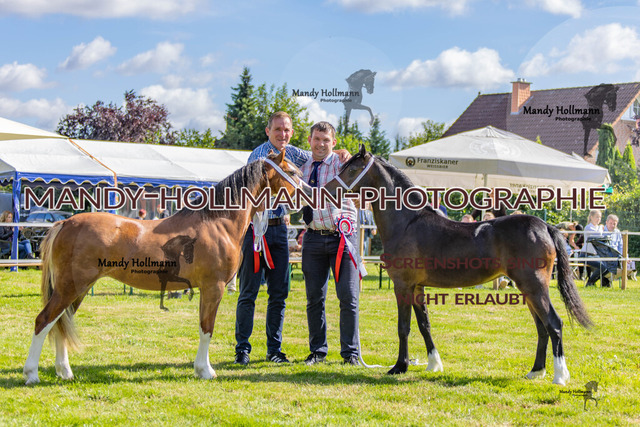 IG WELSH VM 2024-130 | mandyhollmannphotographie