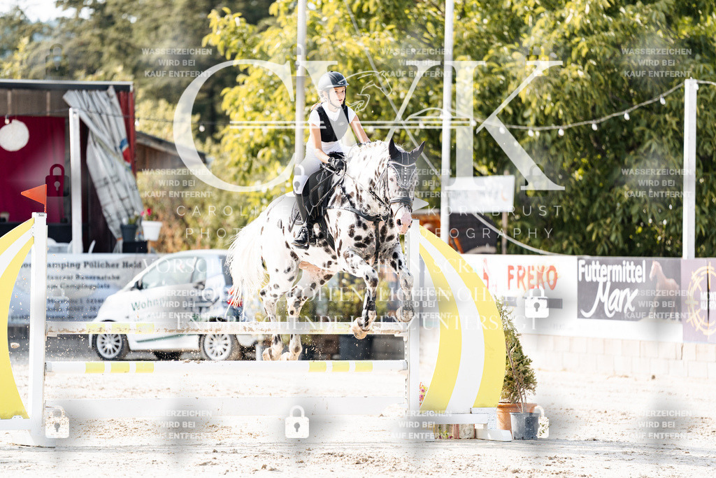 CK905983 | Turnierfotografie Pferdefotografie Trier Rheinland-Pfalz Pferdesport Reitsport Tierfotografie Sportfotografie Pferdevideo Pferdevideografie Equestrianvideography equestrianphotography  - Realisiert mit Pictrs.com