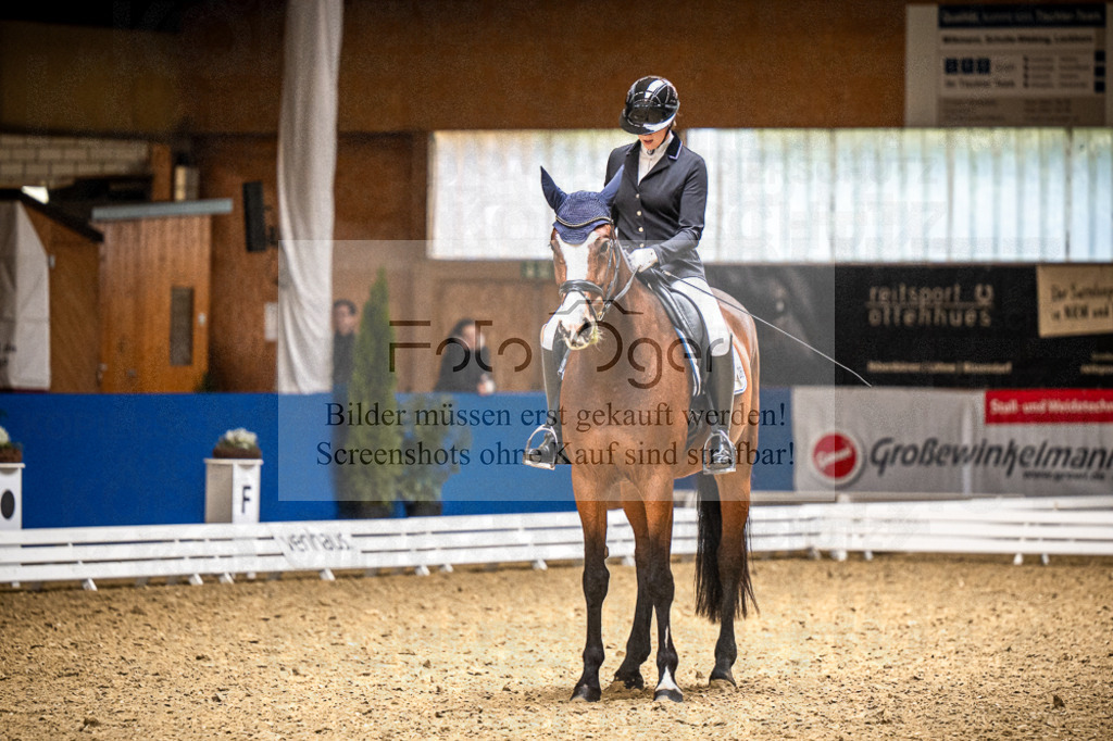 DOS_1455 | Entdecke hochwertige Reitturnierfotos von Foto Oger. Professionell, emotional und authentisch – jetzt Lieblingsmomente im Shop bestellen.Deutschlandweite Turnierfotografie. - Realisiert mit Pictrs.com