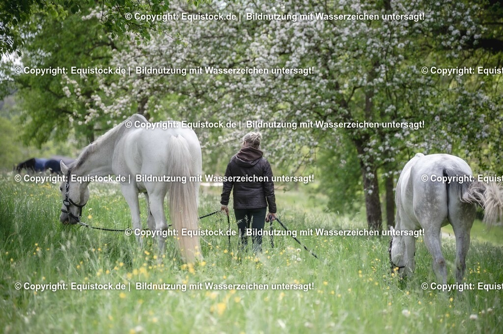 20250516_Impressionen_0069 | Foto: Thomas Hartig