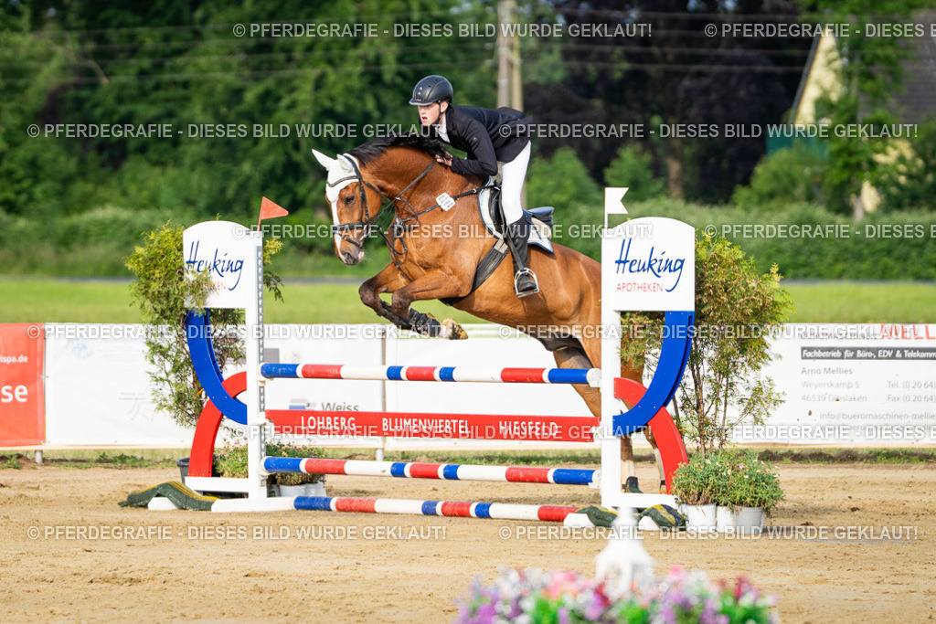 DSC02757 | Pferdegrafie