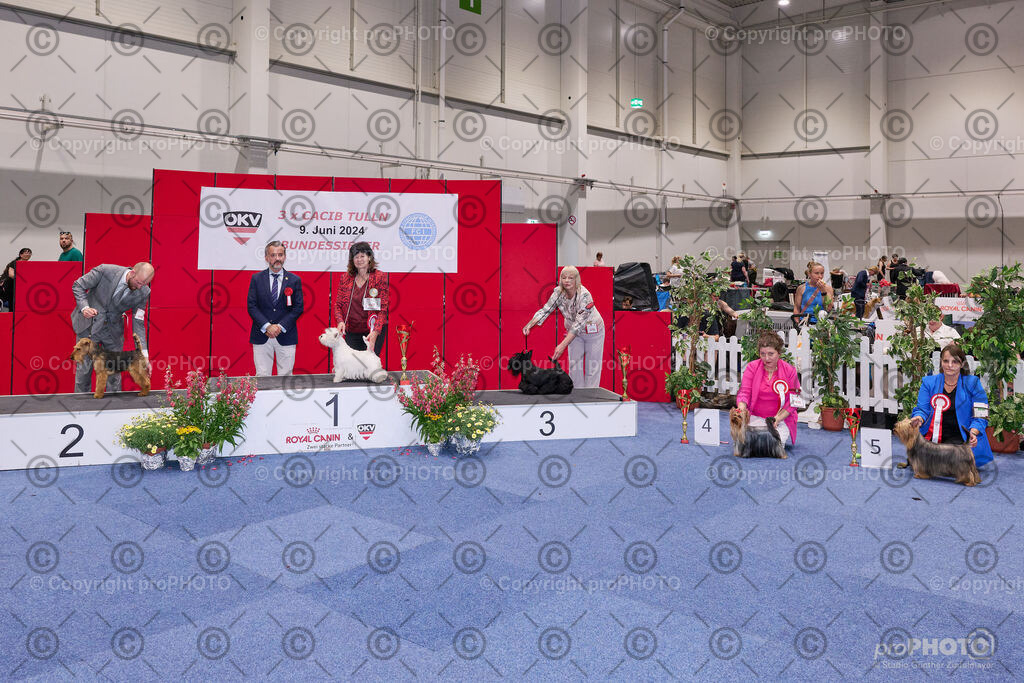 202406_ÖKV-IHA-Tulln24_NZ9_9510 | proPHOTO - Realisiert mit Pictrs.com