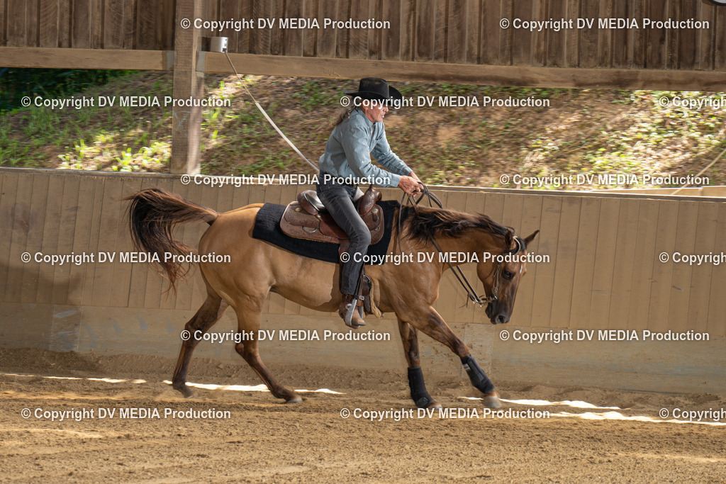 DSC00305 | dv-media-shop - Realisiert mit Pictrs.com