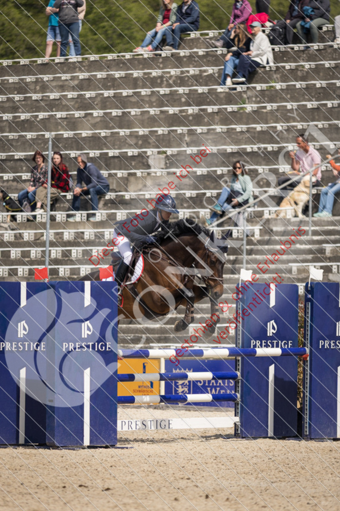 IMG_5073 | Sport-, Event- und Tierfotos in Profiqualität. Einfach auswählen, bestellen und herunterladen. Dein Moment – perfekt festgehalten.