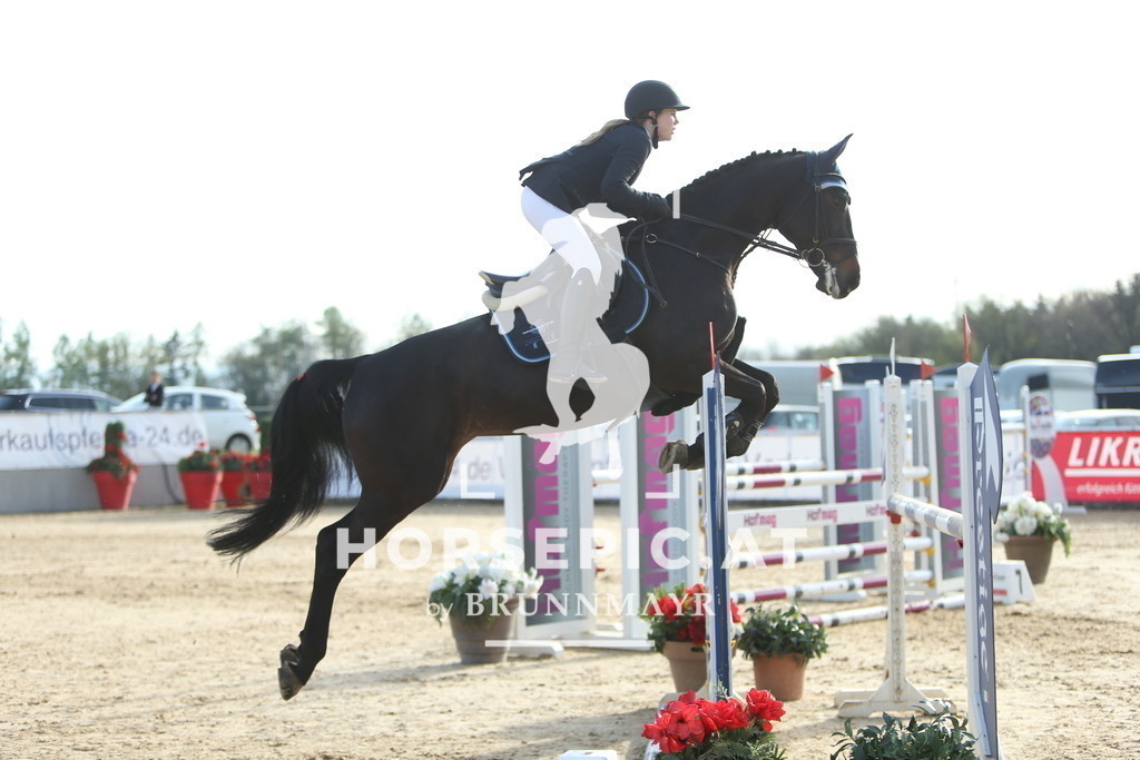 DL2Q2883 | Willkommen bei Brunnmayr - Design & Fotografie – Ihrem Spezialisten für Reitturniere und Pferdeveranstaltungen in Oberösterreich, Salzburg und Bayern! Seit über 17 Jahren sind wir leidenschaftlich dabei.