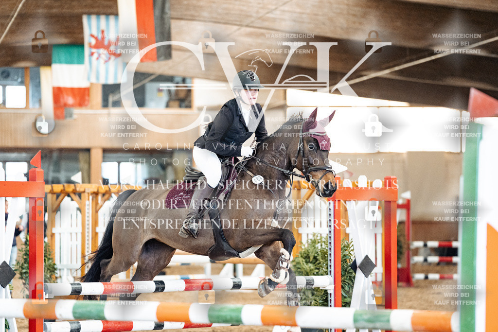 CK905137 | Turnierfotografie Pferdefotografie Trier Rheinland-Pfalz Pferdesport Reitsport Tierfotografie Sportfotografie Pferdevideo Pferdevideografie Equestrianvideography equestrianphotography  - Realisiert mit Pictrs.com