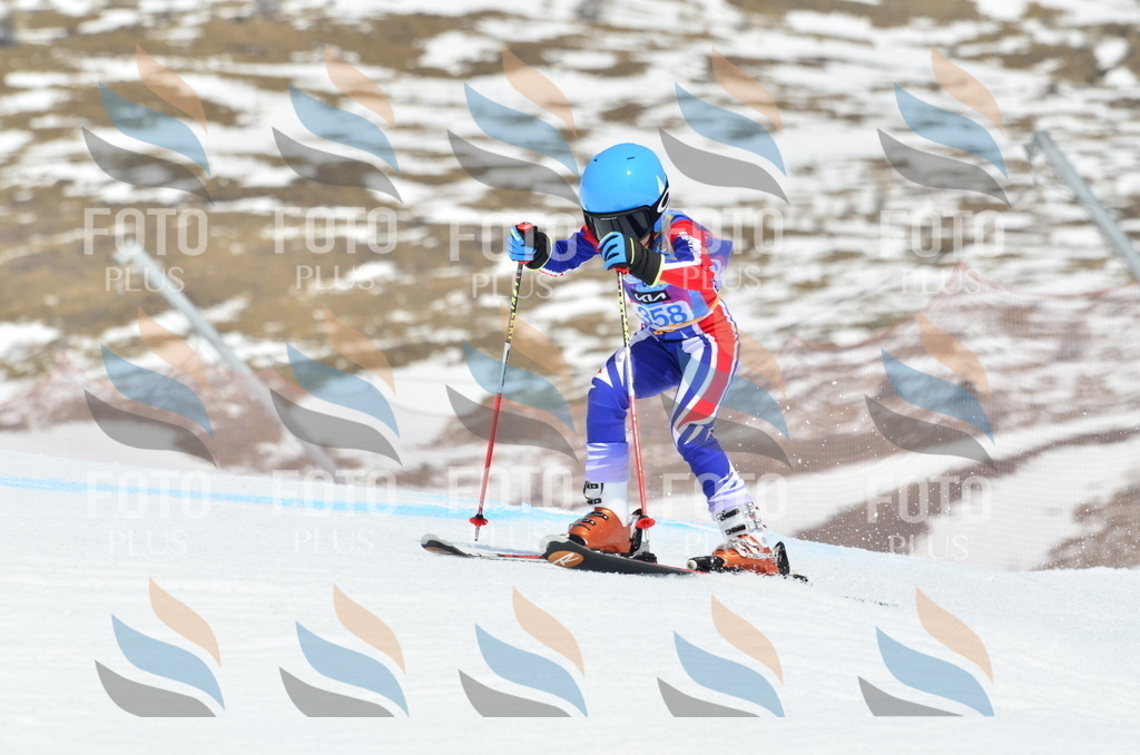 _ELE2797 | holidayphoto