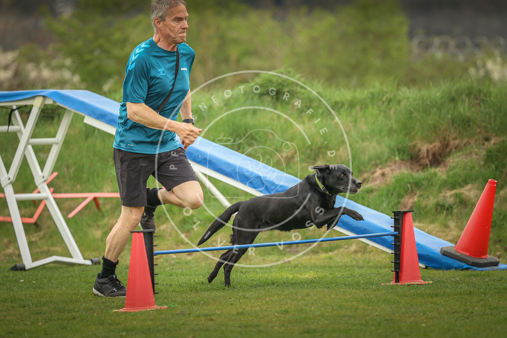 Pfotenfotografie_0L8A0607 | Hundefotografie, Tierfotograf, Pfotenfotografie, Fotoshooting Hund, Hunde Portrait, Hundesport, Hundeportraits, Heideshooting, Hunde, Sportfotograf, Hundefotograf, Turnierhundsport, THS,  - Realisiert mit Pictrs.com