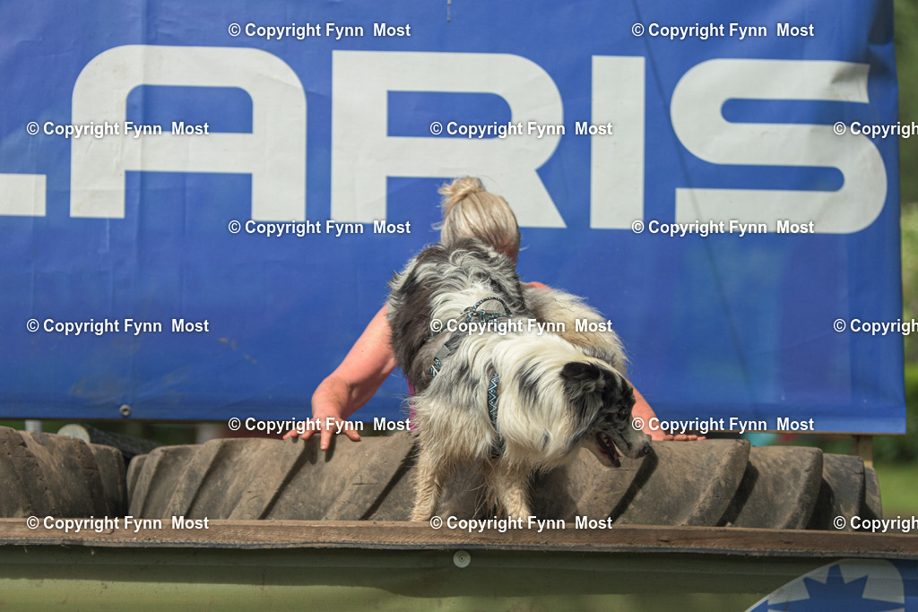 DSC_0733-2 | Hallo und herzlich Willkommen auf meiner Shop-Seite Fynn Most.

Ich wünsche Dir viel Spaß beim stöbern durch die Bilder, wenn Du Fragen hast oder Bilder vermisst, kannst du mir gerne eine Nachricht schreiben. - Realisiert mit Pictrs.com