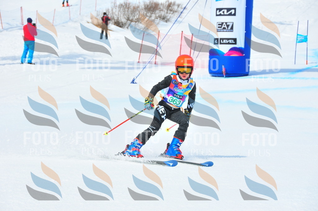 DSC_3252 | holidayphoto