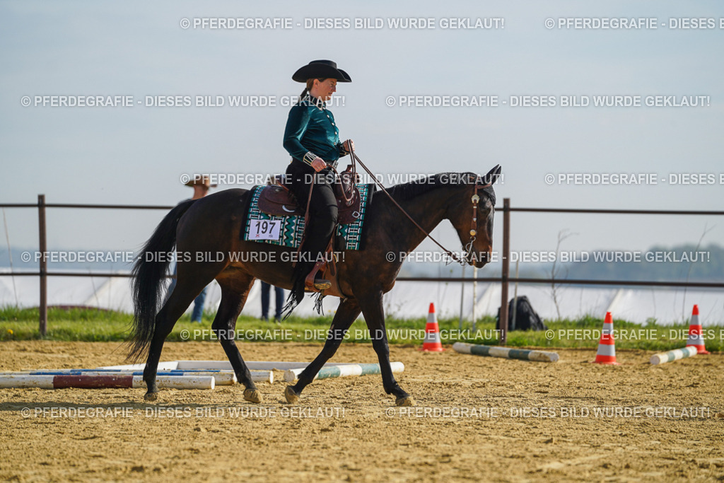 DSC01010 | Pferdegrafie