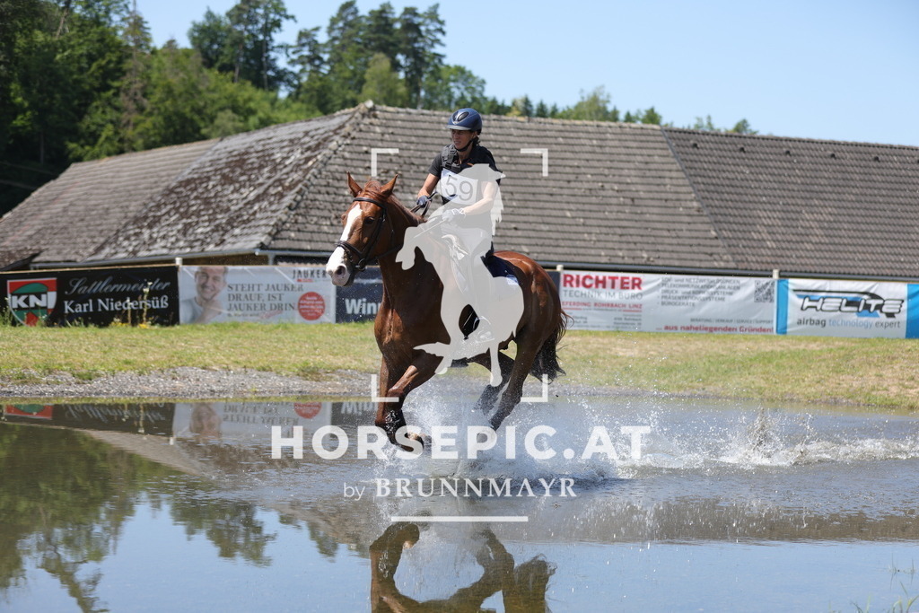0P6A4514 | Willkommen bei Brunnmayr - Design & Fotografie – Ihrem Spezialisten für Reitturniere und Pferdeveranstaltungen in Oberösterreich, Salzburg und Bayern! Seit über 17 Jahren sind wir leidenschaftlich dabei.