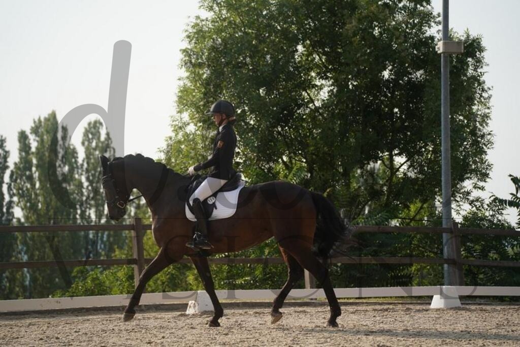 tgbhfreitag (1954) | d.tail Visions - Shop - Realisiert mit Pictrs.com