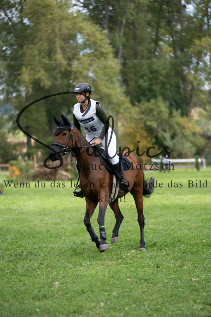 A7V03577 | Pferdefotograf