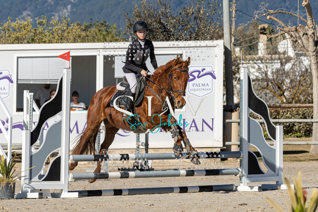 IMG_8214 | s-jay-photography - Realisiert mit Pictrs.com