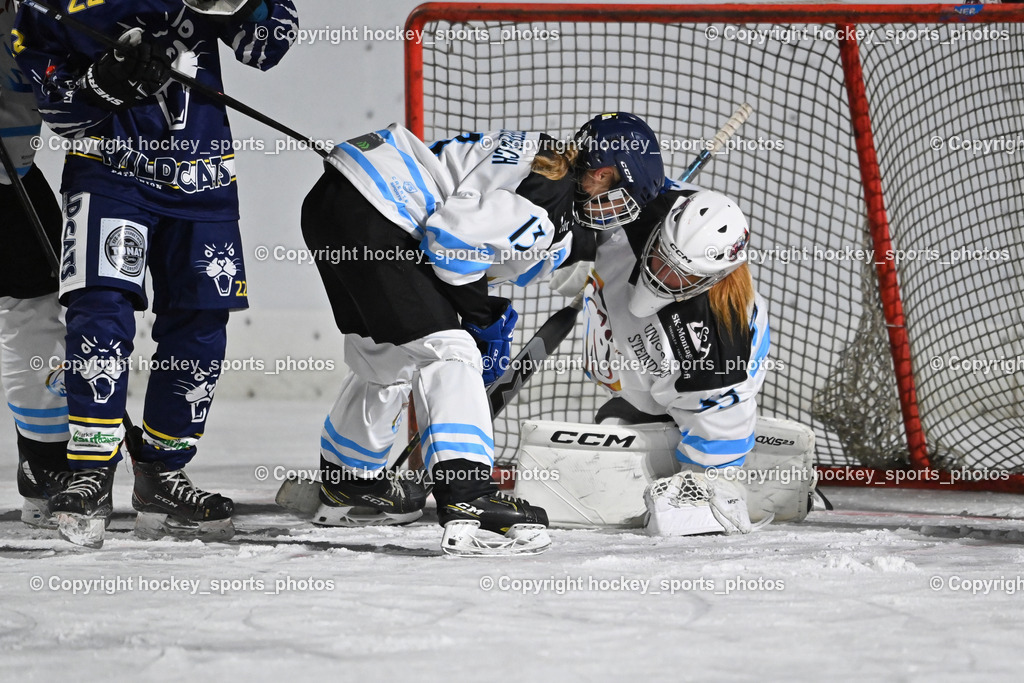 Wildcats Paternion vs. Unicorns Steindorf | #13 Fischer-Teuffenbach Signe UNICORNS STEINDORF, #35 Winkler Therese UNICORNS STEINDORF, Wildcats Paternion vs. Unicorns Steindorf, Wildcats Paternion vs. Unicorns Steindorf am 02.01.2026 in Paternion (Eislaufplatz Paternion), Austria, (Photo by Bernd Stefan)