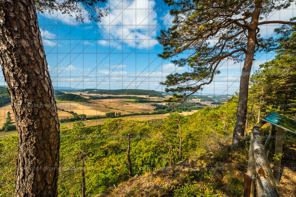 20220828110923D75_7766-2 | Kaufen sie online außergewöhnliche Fotografien auf Leinwand Acrylglas Fotoprint Aludibond von holgerweigeltfotografie - Realisiert mit Pictrs.com
