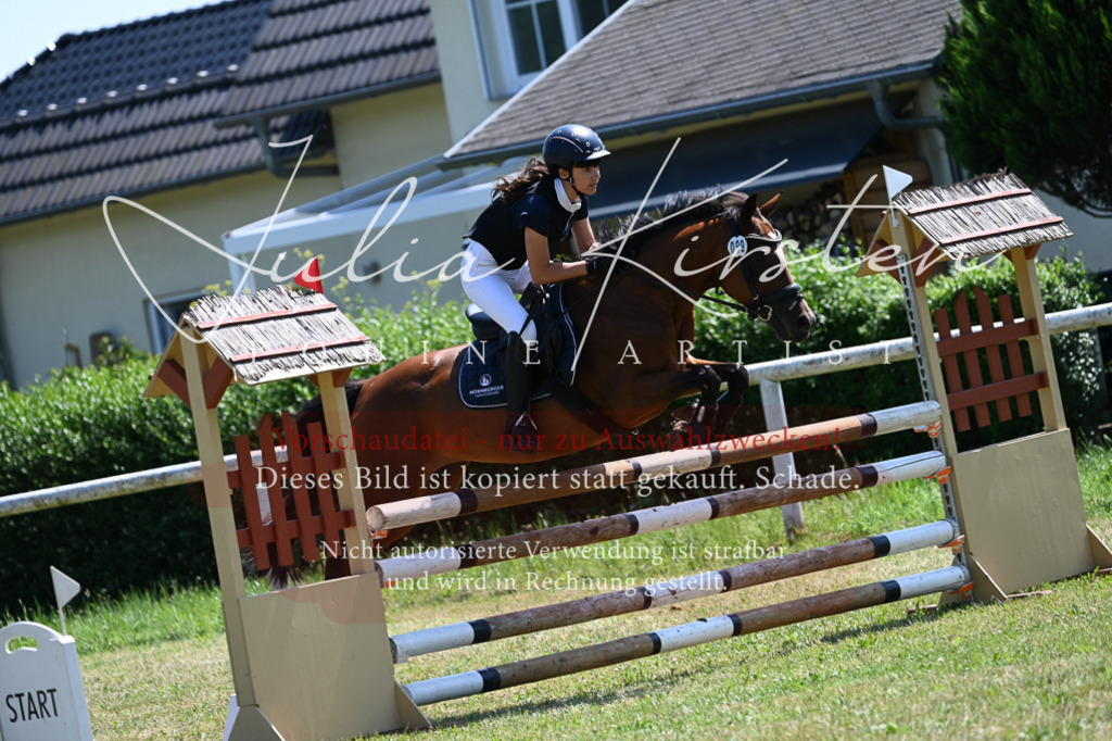 DSC_0833 | Pferde- und Turnierfotografie in Westsachsen. Pferdeportraits, Auftragszeichnungen und intuitive Kunst.
