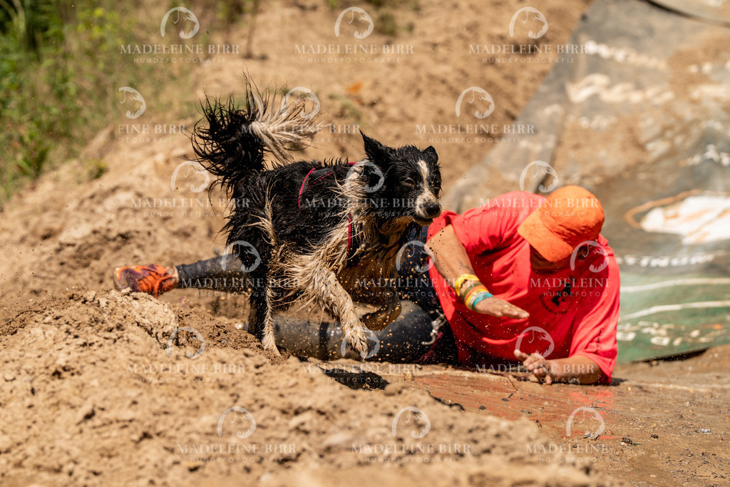 madeleinebirr.fotografie.2026.CC-hoope.samstag.14-20-58.42 | hundefotografie-birr
