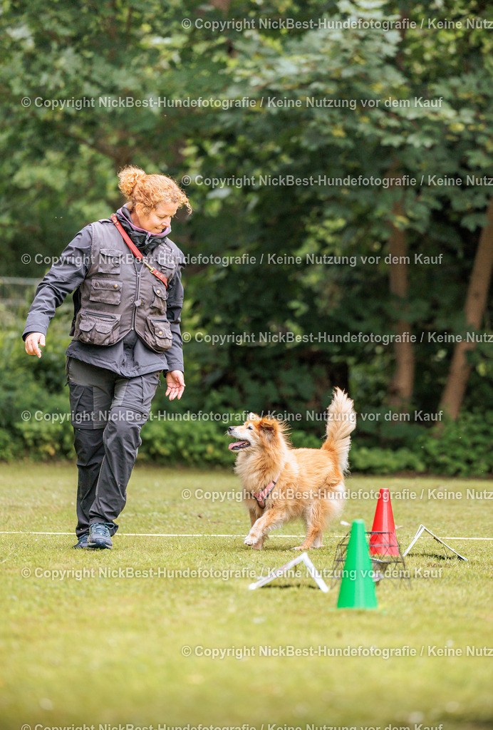 RO-Blumenthal-2026-Nickbest-Hundefotografie-1561 | Dein Hund! Dein Moment! Deine Erinnerungen! Hundefotografie in Bremen Blumenthal. Ich fange die besonderen Momente deines Vierbeiners ein – ob Indoor mit Blitzanlage oder in der freien Natur. Sicher dir dein Moment und dein Termin für eure Erinnerungen.