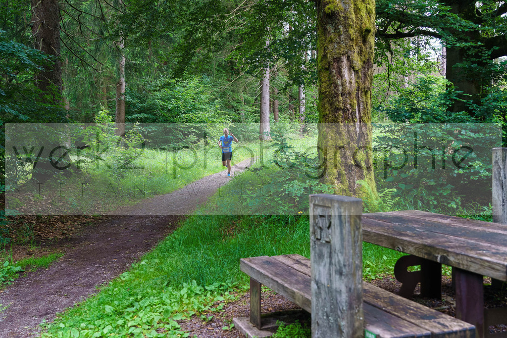 Rennsteig-Staffellauf | 24. Staffellauf - 22.06.2024 von Hörschel nach Blankenstein