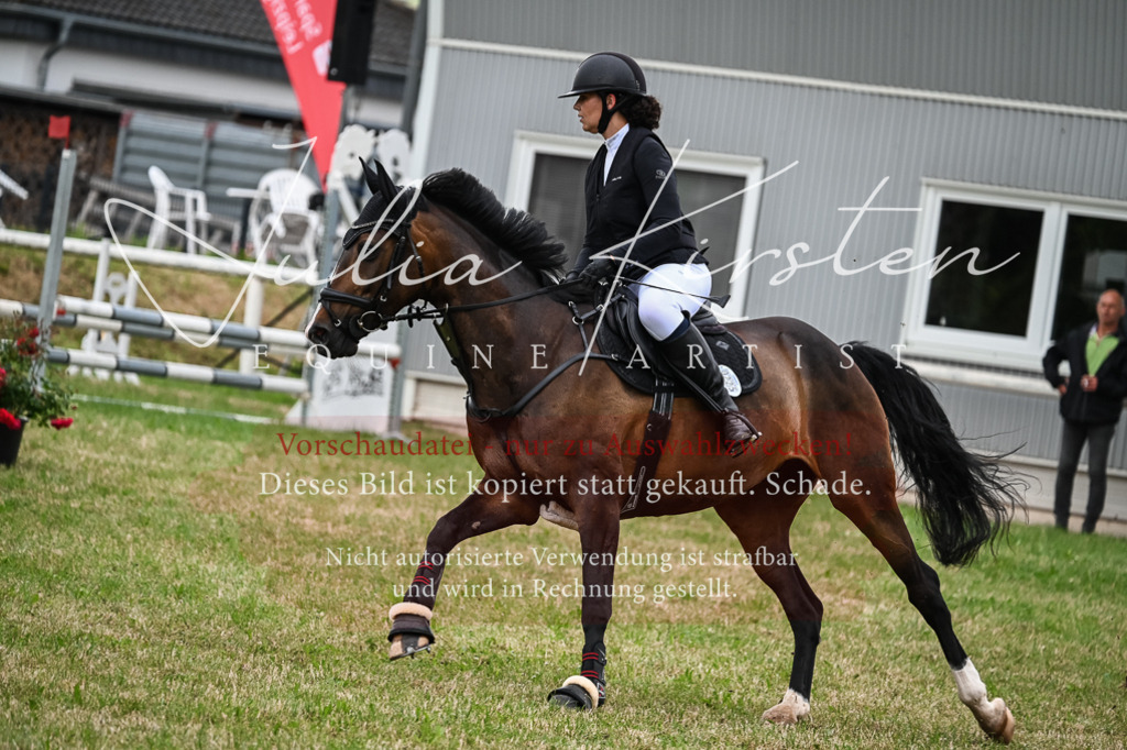 DSC_8425 | Pferde- und Turnierfotografie in Westsachsen. Pferdeportraits, Auftragszeichnungen und intuitive Kunst.