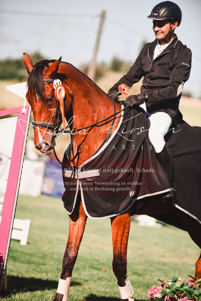 DSC_2309 | Pferde- und Turnierfotografie in Westsachsen. Pferdeportraits, Auftragszeichnungen und intuitive Kunst.