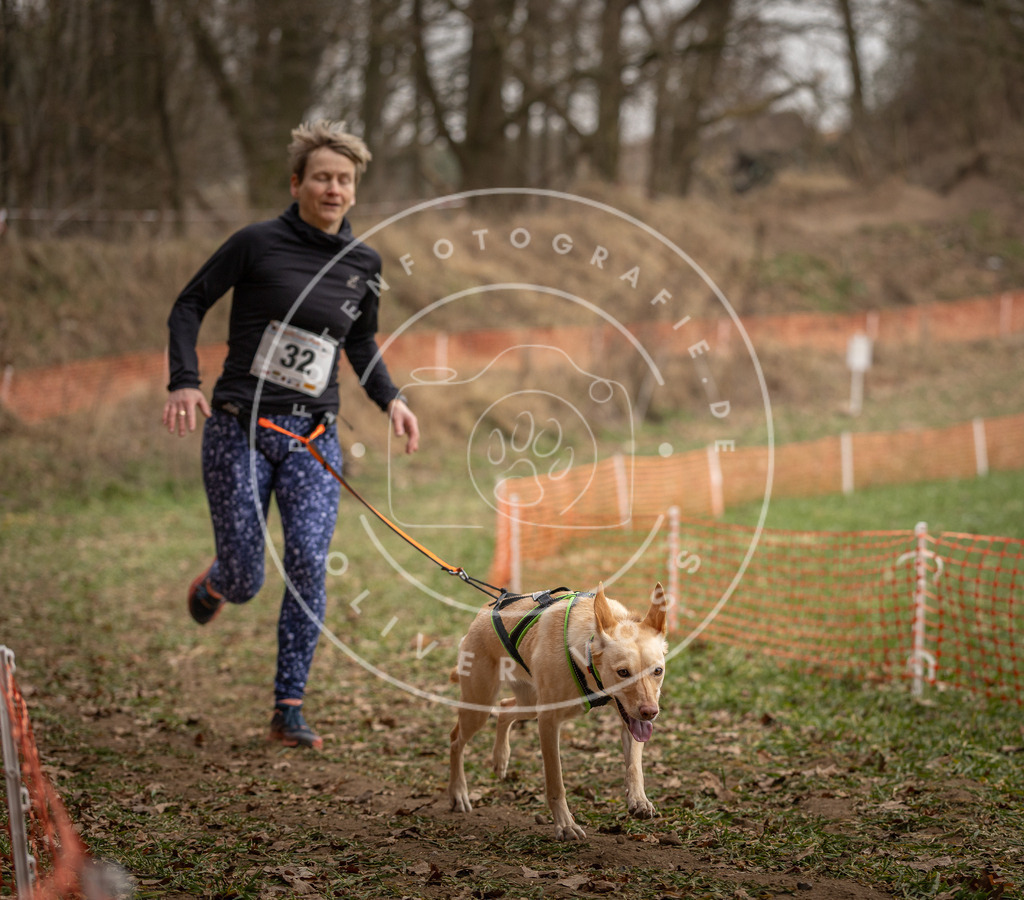 Pfotenfotografie_DV3A9124 | Hundefotografie, Tierfotograf, Pfotenfotografie, Fotoshooting Hund, Hunde Portrait, Hundesport, Hundeportraits, Heideshooting, Hunde, Sportfotograf, Hundefotograf, Turnierhundsport, THS,  - Realisiert mit Pictrs.com