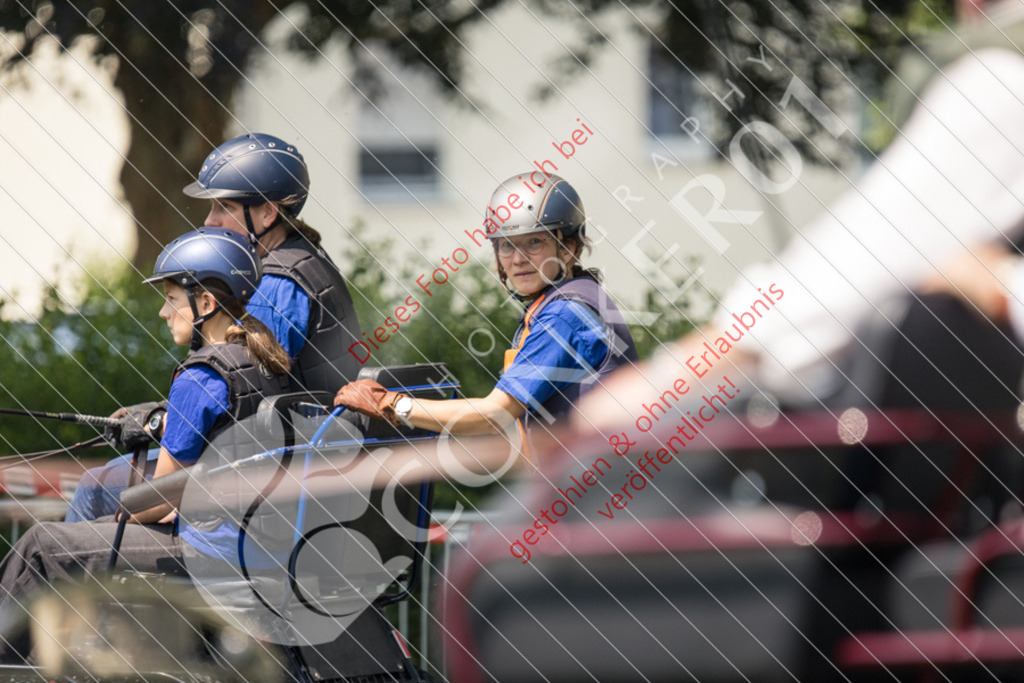 IMG_8041 | Sport-, Event- und Tierfotos in Profiqualität. Einfach auswählen, bestellen und herunterladen. Dein Moment – perfekt festgehalten.