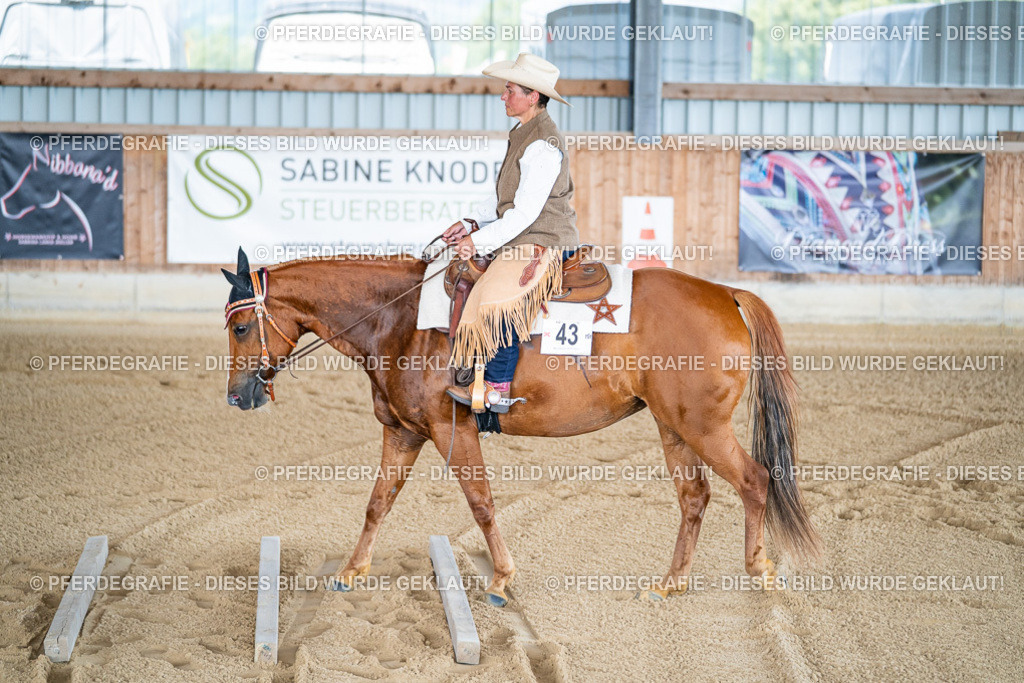 DSC01608 | Pferdegrafie