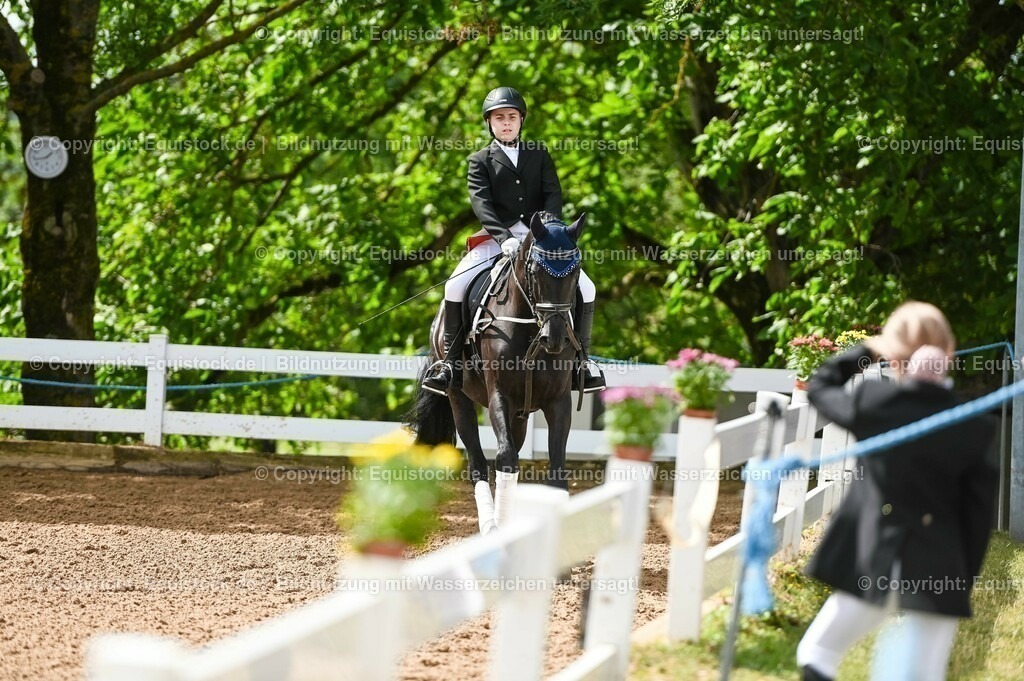 20230716_10-1_Reiter-WB Schritt - Trab - Galopp_0162 | equistock