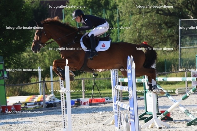 OHT 2022 Röhlingen (167) | Fotografie, Tiere, Hunde, Katzen, Pferde, Sportfotografie, Fotosession, Tierfotografie, Turnierfotografie, Fotografin, Fotograf - Realisiert mit Pictrs.com