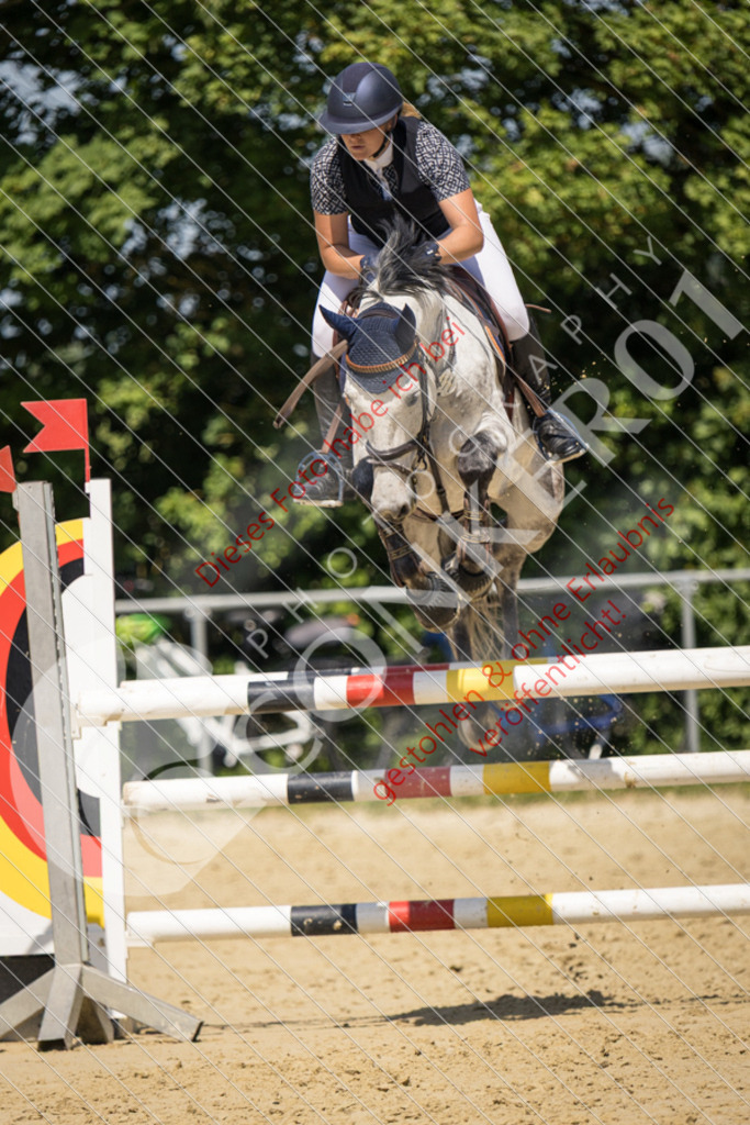 IMG_9648 | Sport-, Event- und Tierfotos in Profiqualität. Einfach auswählen, bestellen und herunterladen. Dein Moment – perfekt festgehalten.