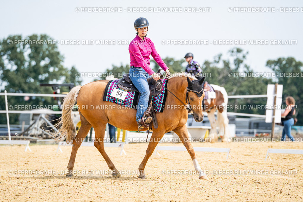 DSC00302 | Pferdegrafie