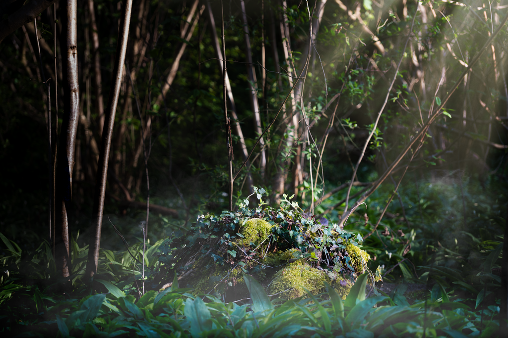 DSCF4767-Bearbeitet | Tier- & Landschaftsfotografie und Porträtshootings. Entdecke einzigartige Fotokunst als Wandbild, Tasse oder Mauspad – mit Leidenschaft fotografiert - Realisiert mit Pictrs.com